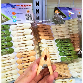 Sỉ Set 20 chiếc kẹp phơi đồ nhựa Việt Nhật | Kẹp quần áo