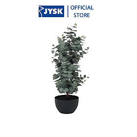 Mua Cây trang trí | JYSK Ripa | xi măng/kim loại/ polyester | đen/xanh lá nhạt | DK46xC90cm