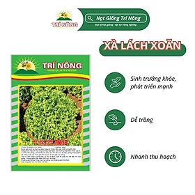 Mua Hạt Giống Xà Lách Xoăn Trí Nông   TN18  Dễ Trồng  Dễ Chăm Sóc  Thời Gian Thu Hoạch 30 ngày  Gói 10 gram