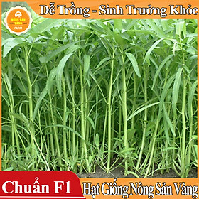 Mua Hạt giống Rau Muống Lá Tre ( Gói 50 Gram )