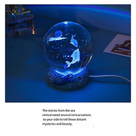 Mua Qủa Cầu Pha Lê Phát Sáng Đổi Màu Trang Trí Phòng  Làm Đèn Ngủ  Đèn Trang Trí Qùa Tặng Ý Nghĩa Cho Mọi Dịp QC2