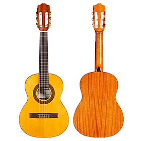 Đàn Guitar Classic Cordoba C1 1/4 - Thương hiệu Tây Ban Nha, phân phối Chính Hãng - Ghita kèm móng gẩy và Kèn Kazoo DreamMaker