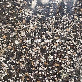 1 KG ĐẤT CAO CẤP TRỒNG XƯƠNG RỒNG - SEN ĐÁ