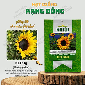 Hạt giống Hoa Hướng Dương nảy mầm tốt, thích hợp trồng chậu, sân vườn - Hạt giống Rạng Đông