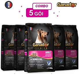 Combo 5 thức ăn cho chó trưởng thành Ganador vị cá hồi & gạo Salmon & Rice 400 gram