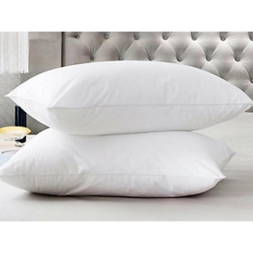 Mua Ruột gối đầu trắng bông sơ loại đẹp 45x65