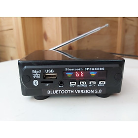 Mua BỘ THU BLUETOOTH 5.0 DIY Version mới nhất - AUTO VOLT