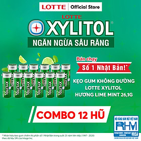 Combo 12 hũ Kẹo Gum không đường Lotte Xylitol - Hương Lime Mint 26,1 g