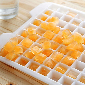 DIY Multifunctional Ice Cube Lattice Mold Food Sealed Box