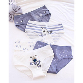 Combo 5 quần lót cotton nữ in họa tiết QL08