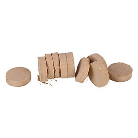 Bánh Tạo Khói Trên Sân Khấu (10 Cái)