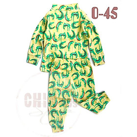 Bộ quần áo bé trai bé gái thun cotton borip gymboree cổ 3cm dài tay giữ nhiệt Hàng xuất dư loại 1