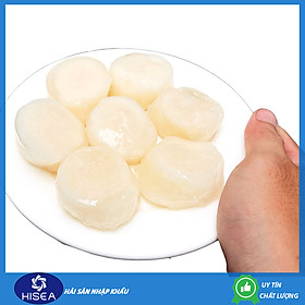 Còi sò điệp Nissi size 22 - 26 còi- 1kg