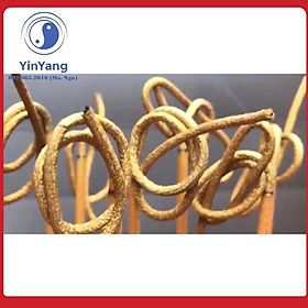 Mua Nhang tài lộc tinh dầu quế- (ống) cao cấp  chất lượng