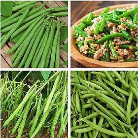 Combo 10 gói Hạt giống đậu cove bụi,cove lùn xanh-gói 20 gram/tặng kèm gói phân bón lót