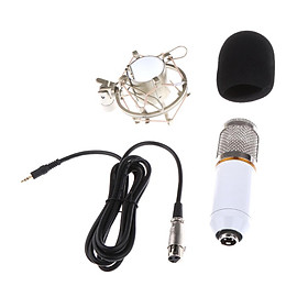 Professional Condenser Microphone+Shock Mount+Foam Power Cable