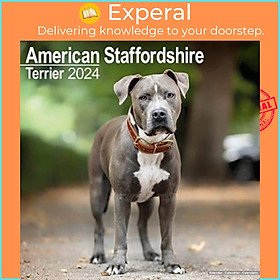 Sách - American Staffordshire Terrier Calendar 2024  Square Dog Breed Wall Calendar - 16 Mon by  (UK edition, paperback)