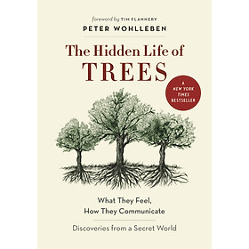 The Hidden Life of Trees: What They Feel, How They Communicate