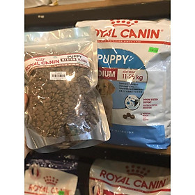 Thức Ăn Cho Chó Royal Canin Medium Puppy/ Medium Adult Gói 1KG - Thức ăn cho chó trung bình trưởng thành