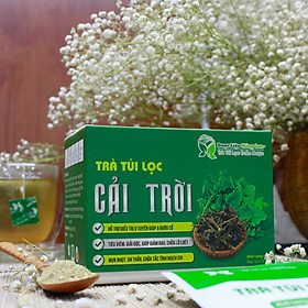 Trà Túi Lọc Cây Cải Trời 60g (20gói x 3g) Dược Liệu Hồng Lan