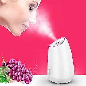 Máy xông hơi da mặt hoa quả