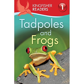 Kingfisher Readers Level 1: Tadpoles And Frogs
