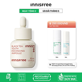 Tinh chất phục hồi da và chống lão hóa trà đen innisfree Black Tea Youth Ampoule 50 mL (New 2023)