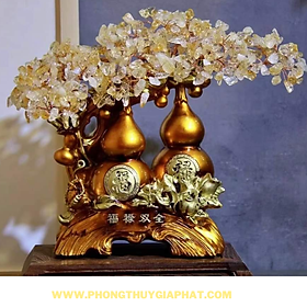 Mua Cây Bonsai tài lộc đá thạch anh phong thủy