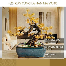 Cây Tùng La Hán mạ vàng