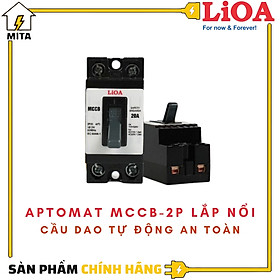 Hình ảnh Cầu dao an toàn (APTOMAT) LIOA 2 cực 1 tiếp điểm 10A đến 30A - LIOA MCCB2P1E + Hộp Aptomat lioa SEMCCBN