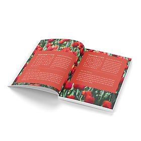 999 Lá Thư Gửi Cho Chính Mình - Những Lá Thư Ấn Tượng Nhất - Tập 2 - Minh Chính