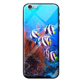 Ốp lưng kính cường lực cho iPhone 6s CÁ 3 - Hàng chính hãng