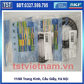 Phớt SKF TSN 315 A