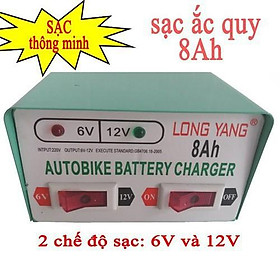 Mua Bộ sạc điện acquy 6V và 12V