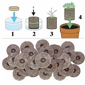 Mua Bộ 100 viên nén ươm hạt xơ dừa hữu cơ trồng rau  dâu tây  thủy canh (loại lớn cao 60mm)