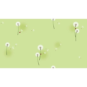 Giấy dán tường trẻ em A5063-2