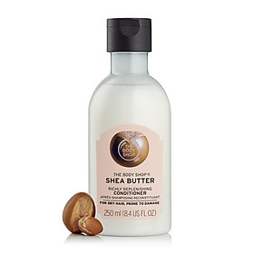 Hình ảnh Dầu Xả The Body Shop Shea 250ml