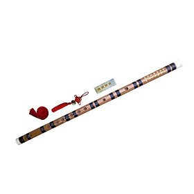 Mua dizi nâu thường