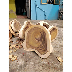 Mua Mặt Gỗ Tròn Nguyên Khối Từ Thân Cây Tự Nhiên  Tấm Gỗ Mộc Làm Giá Thể Trồng Cây Lan
