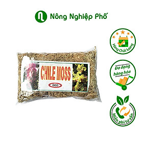 Mua Dớn mềm chile moss trồng lan