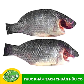 Cá Rô Phi Rừng Ngập Mặn 450G