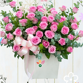 Mua Tình Yêu Mầu Hồng – 160