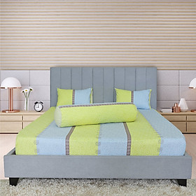 Bộ drap gối cotton phối màu Hometex