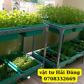 Mua ( khay nhựa 67cm x 42cm ) khung kệ trồng rau 2 tầng sắt v lỗ kệ trồng rau