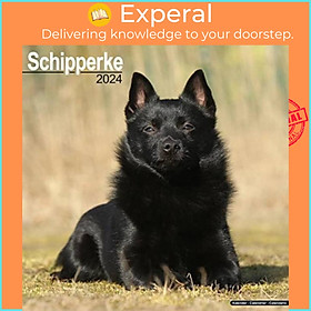 Sách - Schipperke Calendar 2024  Square Dog Breed Wall Calendar - 16 Month by  (UK edition, paperback)