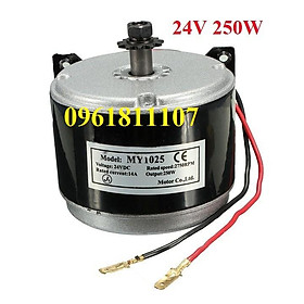 Motor 24v 250w cho scooter chế xe