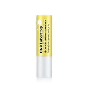 Son dưỡng mềm môi keo ong dưỡng ẩm CNP Propolis Derma Moisture Lip Balm 4g