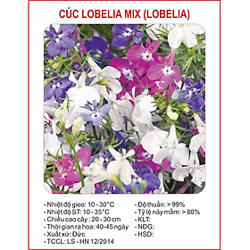 Hạt giống hoa Cúc Lobelia Nhiều màu CT372 - Gói 50 hạt