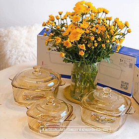 Mua Nồi âu thủy tinh vàng cao cấp
