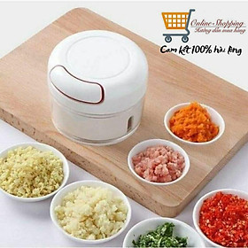 Mua Dụng cụ xay tỏi ớt bằng tay